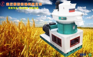 中國(guó)創(chuàng)新提速，綠色經(jīng)濟(jì)之離心高效環(huán)模顆粒機(jī)