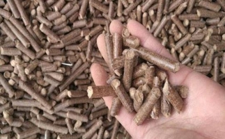 鋸末顆粒機(jī)生物質(zhì)燃料與燃煤對(duì)比情況如何？