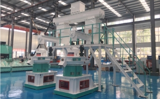 木屑顆粒機多少錢一臺?建顆粒廠大約多少錢？