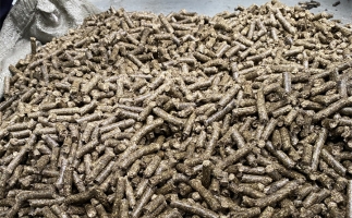 鋸末顆粒機(jī)的顆粒燃料比煤炭貴，為什么還有那么多人用？